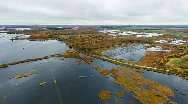 Болото Докудово. Лидский район. Беларусь