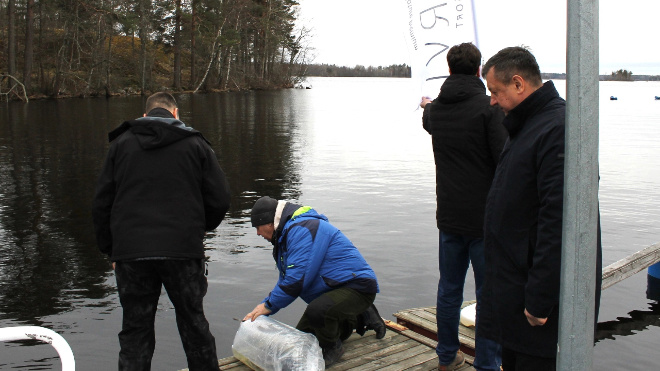 Фото: Александр Соклаков