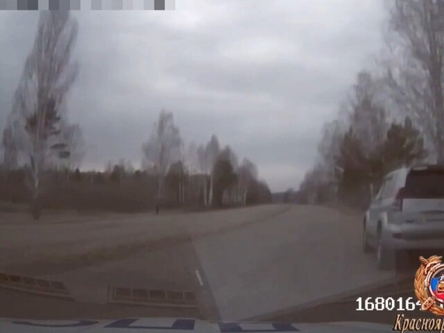    Фото: телеграм-канал "МВД 24"