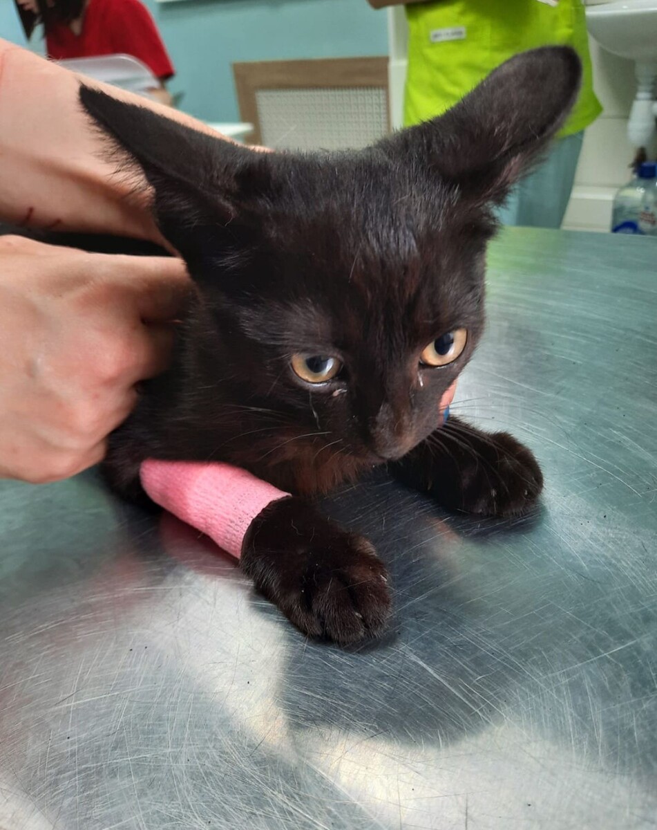 Амур в клинике 