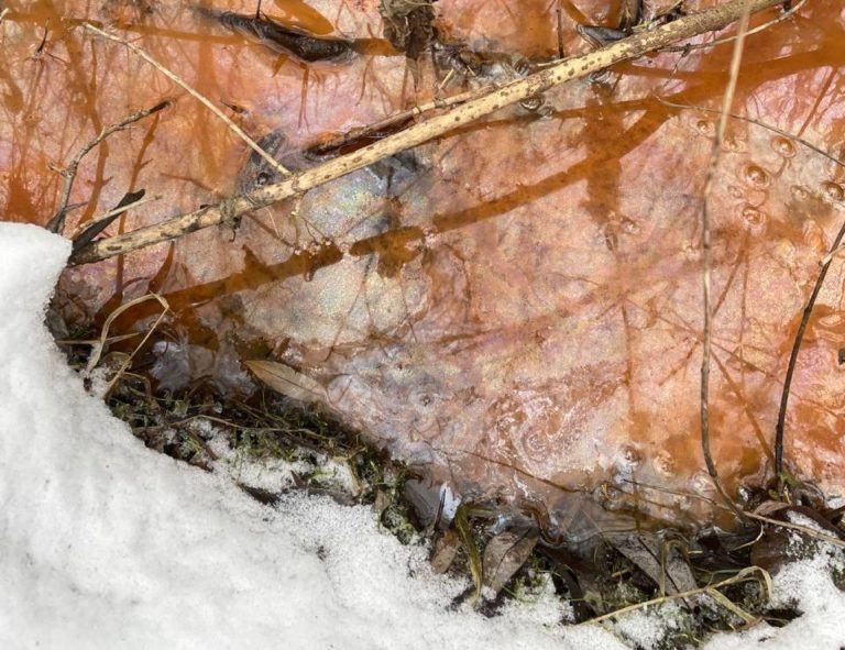    Фото: Telegram-канал «Москва с огоньком» Александра Горохова