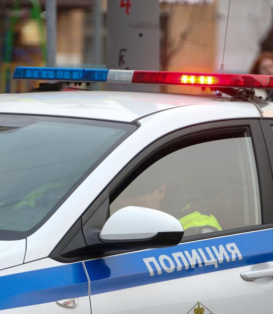    Александра Погиба/NEWS.ru