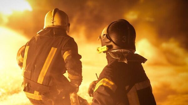    © Telegram Владимир Зеленский