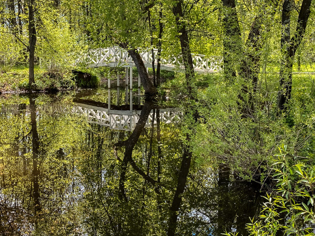 Фото: Владимир Чучадеев.