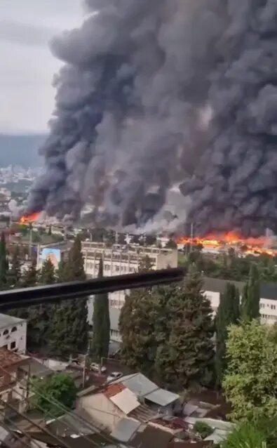    Фото: скриншот видео из соцсетей