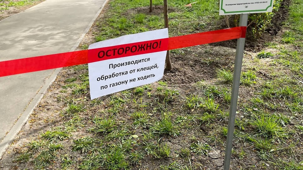 Фото: Ирина Швецова / Коммерсантъ