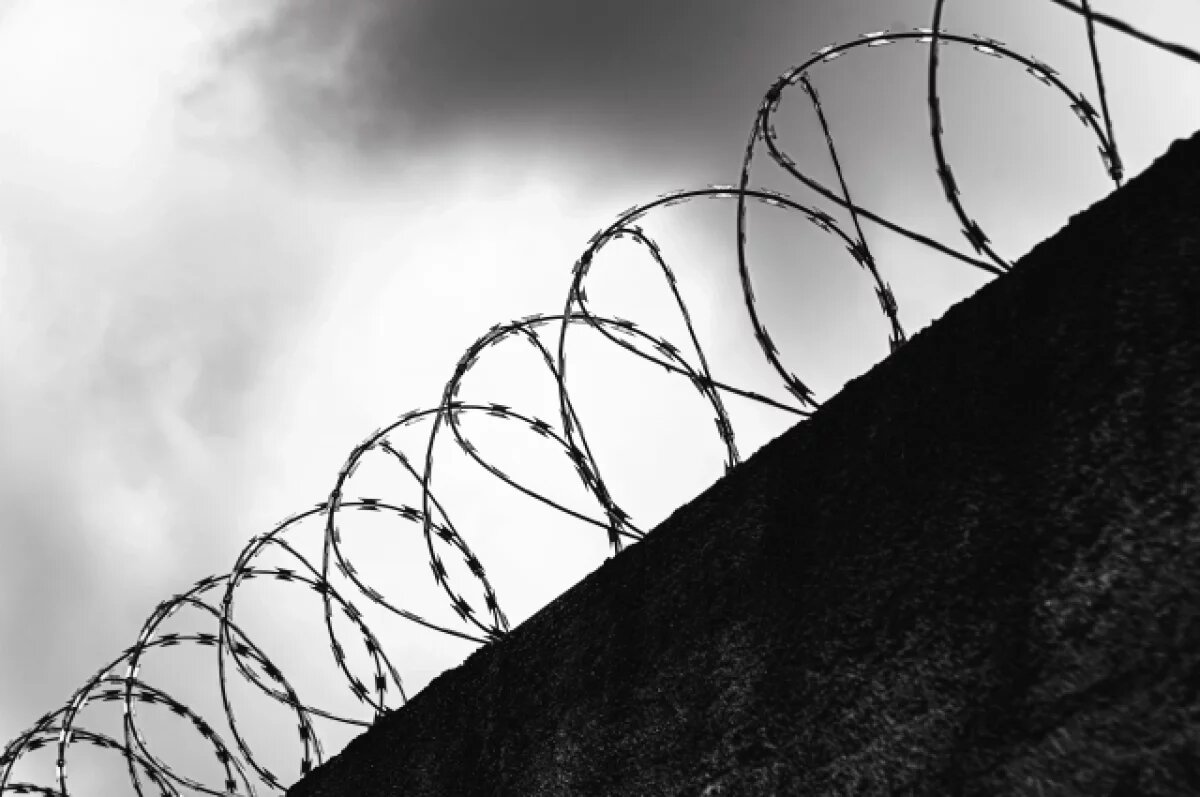    Воронежец получил 3,5 года за оправдание теракта на Крымском мосту