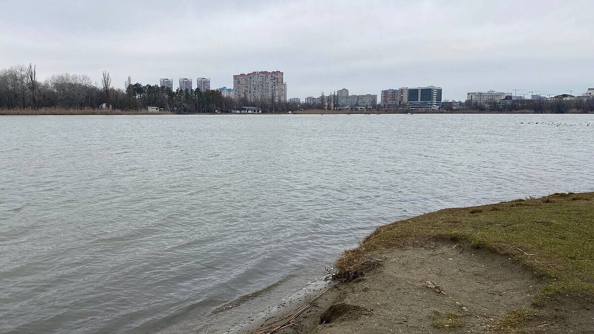    Фото: телеканал «Краснодар»