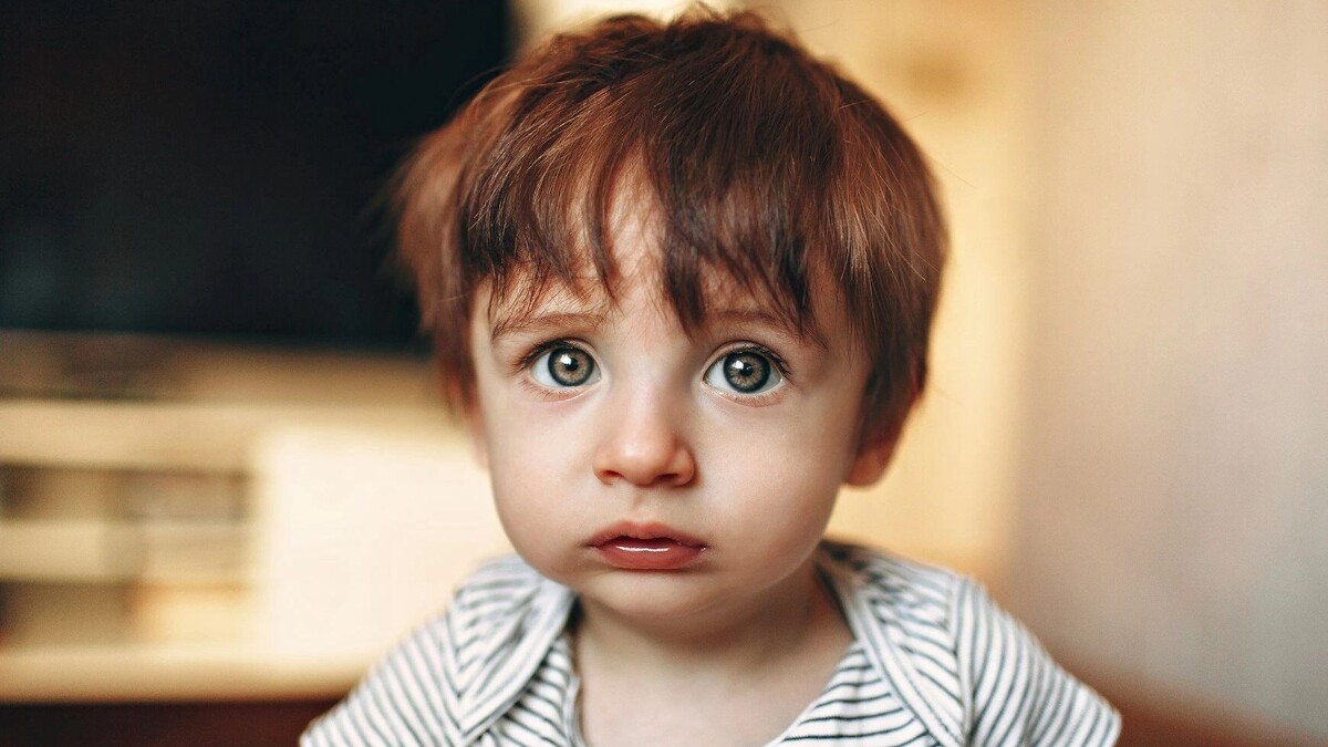     Автор: Unsplash