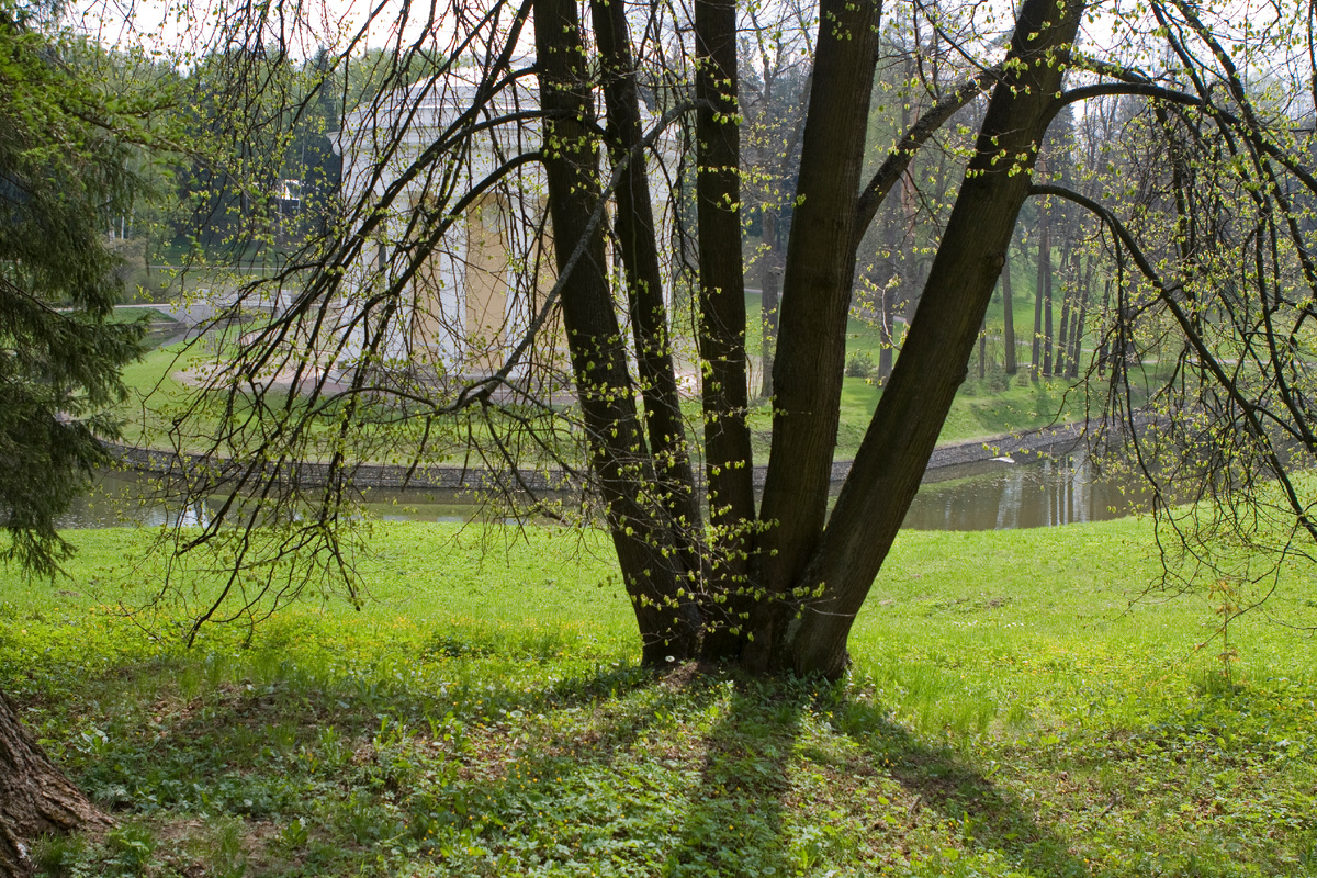 фото: Semen Likhodeev/Russian Look/Global Look Press