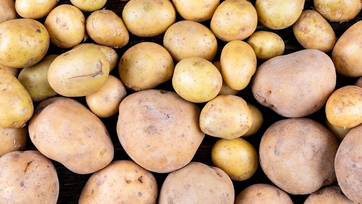 Фото: freepik.com/8photo