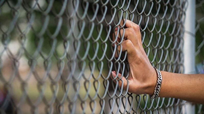    Фото: Korawat photo shoot/Shutterstock/Fotodom