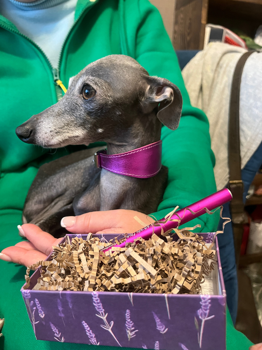 Моне с подарочком от Лены