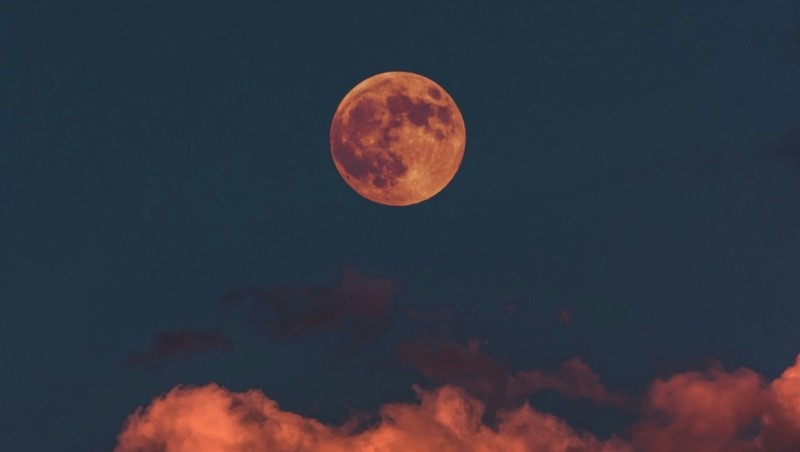 Фото: @adinc / unsplash.com
