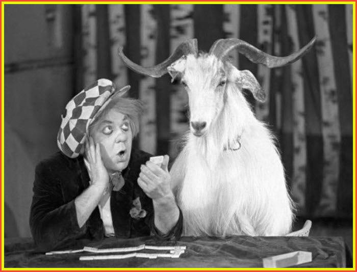 Сыграем в козла?