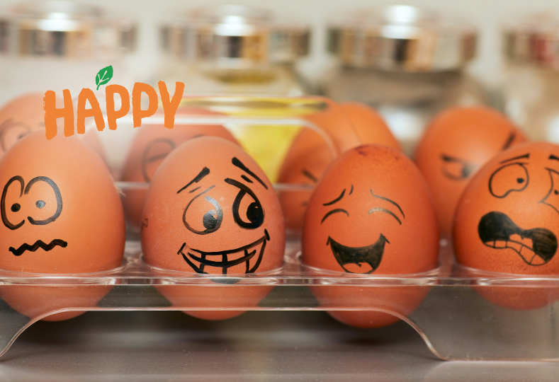 Как избежать расклева яиц