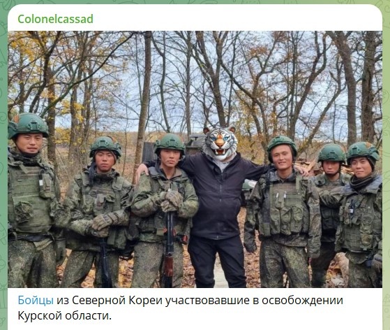    Скриншот: телеграм-канал Бориса Рожина