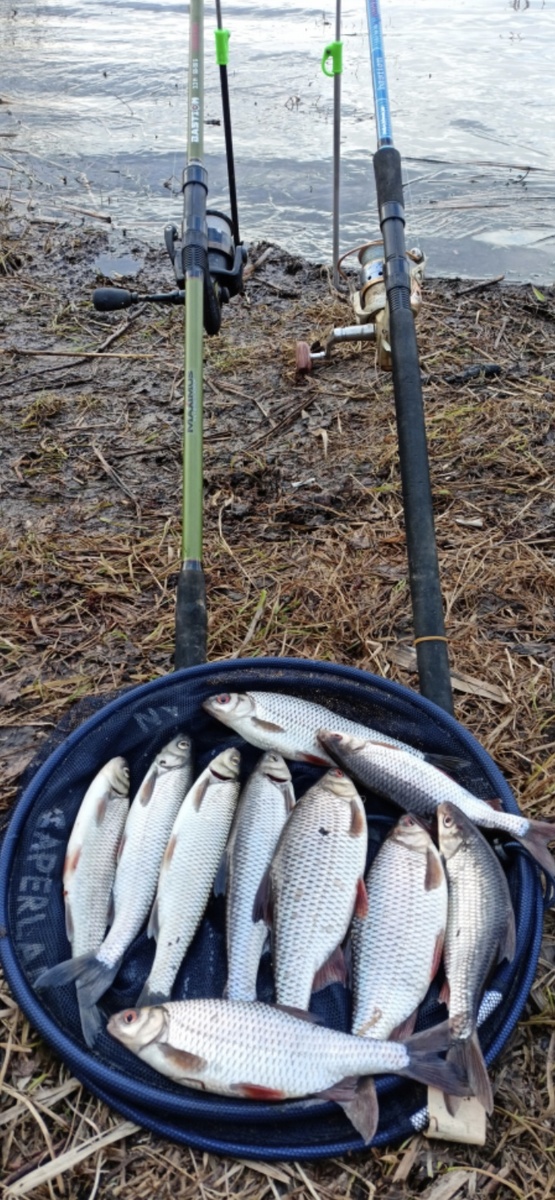 Скудно конечно но начало положено.