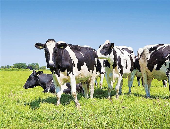    ФОТО: архив "Волга Ньюс"