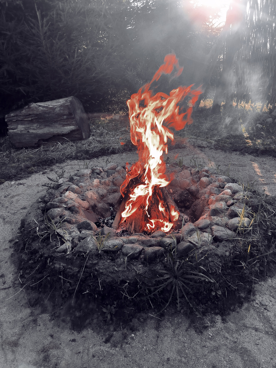 Фото из личного архива автора. 