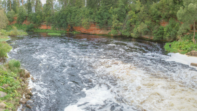 Фото: Дирекция ООПТ Ленинградской области