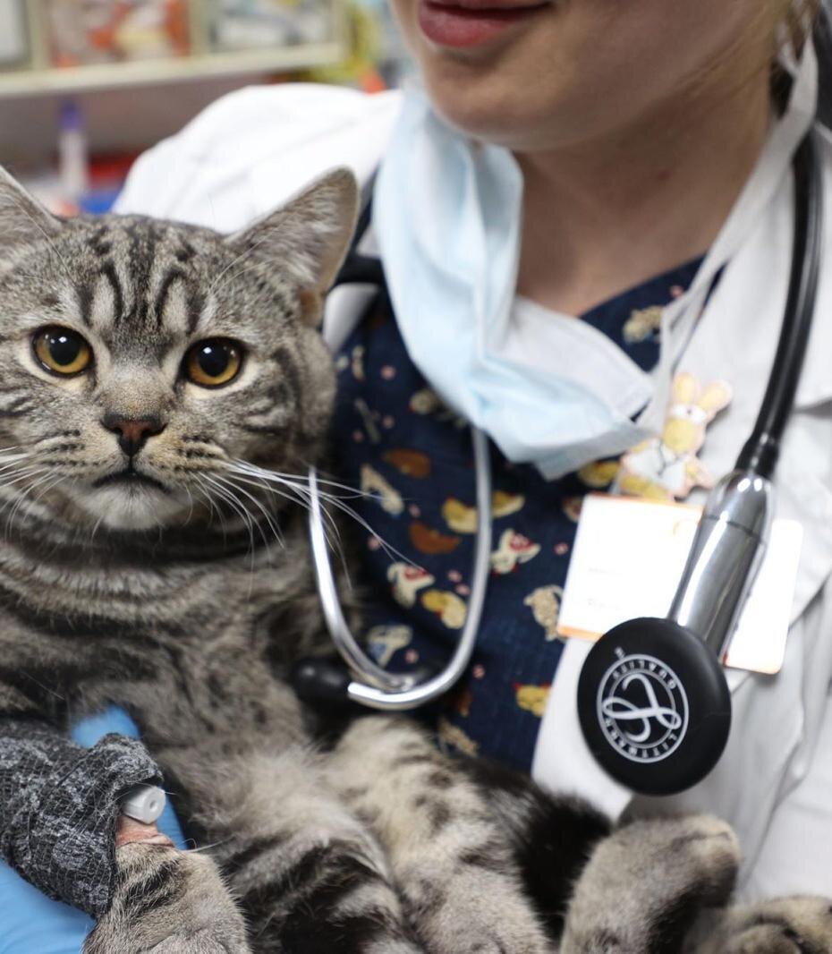    Артем Соболев/NEWS.ru