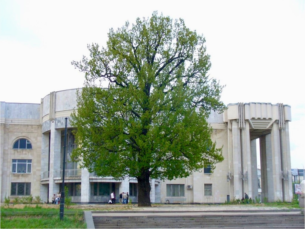    Фото: dpr.kostroma.gov.ru