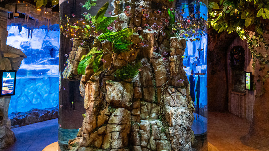 В залах океанариума