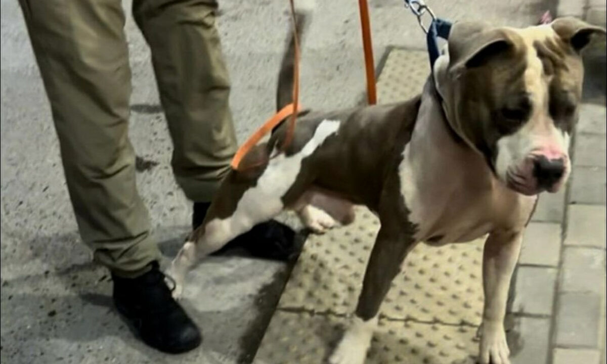    Фото t.me/ts_life