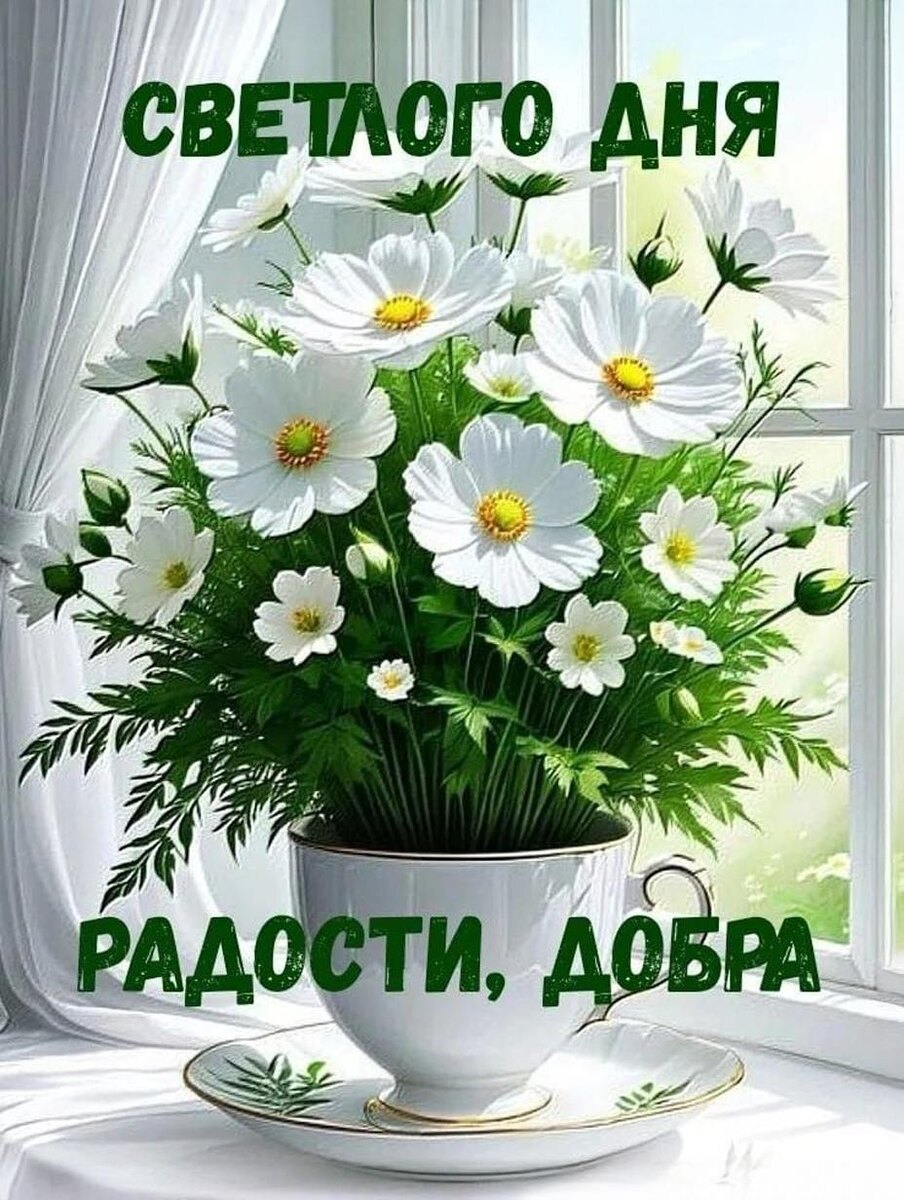 Фото из свободного доступа интернета