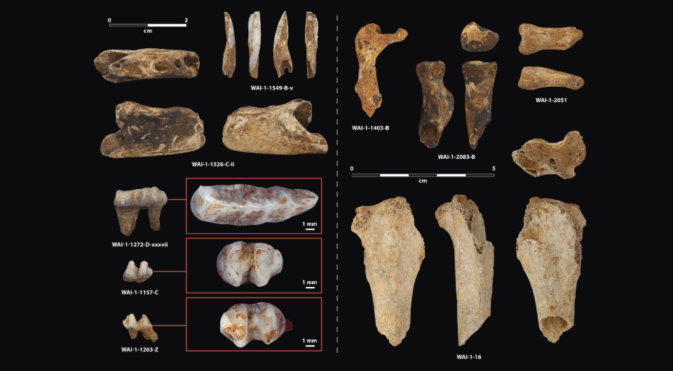  Dylan Gaffney et al. / Journal of Archaeological Science, 2025