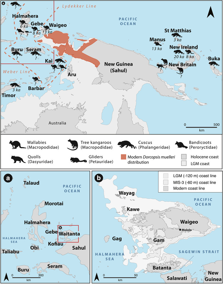   Dylan Gaffney et al. / Journal of Archaeological Science, 2025