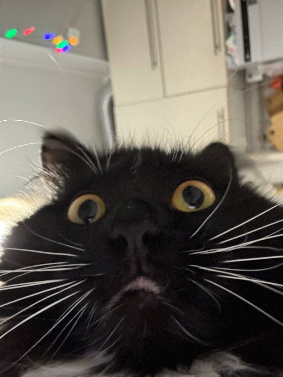 Вы издеваетесь что-ли? Как это вообще ни одного звонка? (с) Чарли