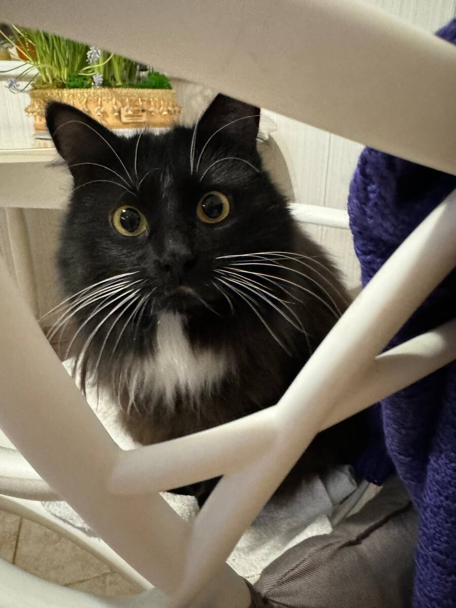 Вот вы всегда вставляете эту свою ссылку на историю, мне аж стыдно, какая я там страшилка! Ну вот напишите в комментариях потом, страшилка же???