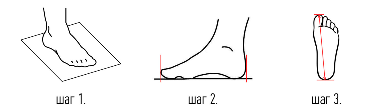 Правильное измерение длины стопы 