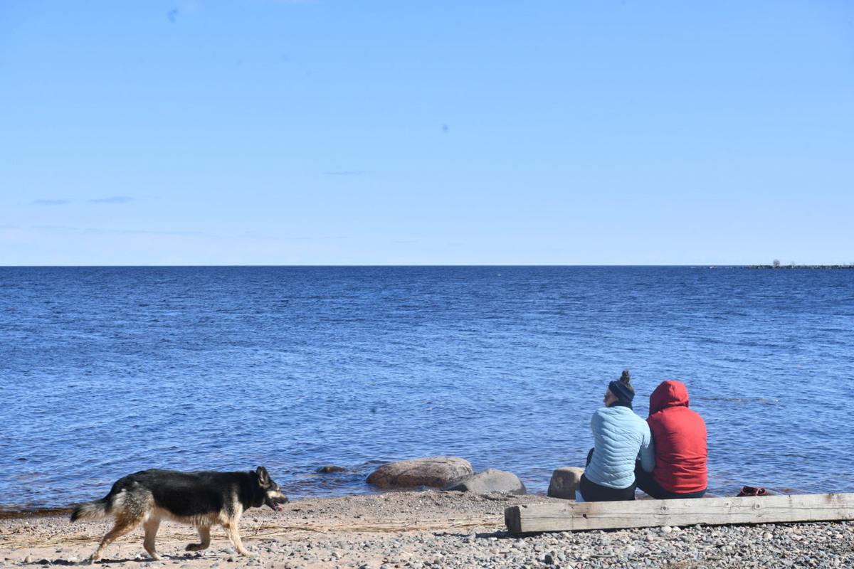    Фото: «Республика» / Лилия Кончакова