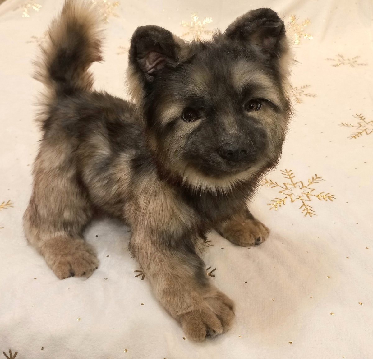 Удачи, мой дорогой!