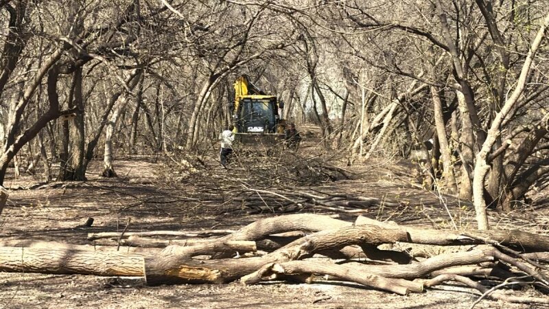     Благоустройство парка им. Ленина в Барнауле. Мэрия Барнаула