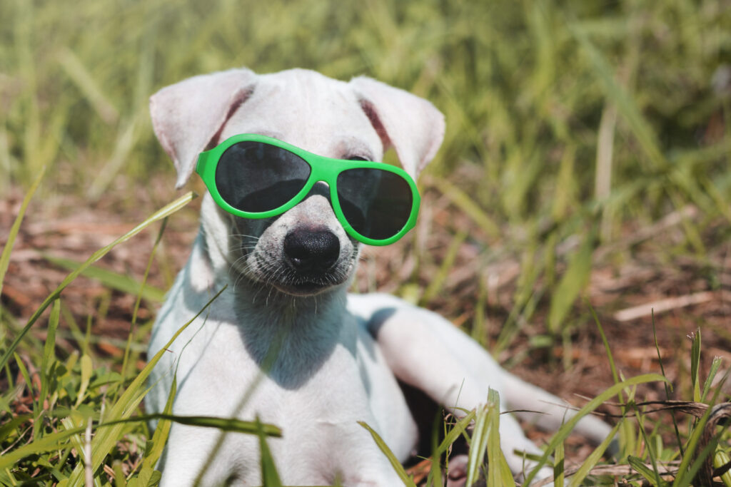    Фото: freepik.com Елена Воронцова