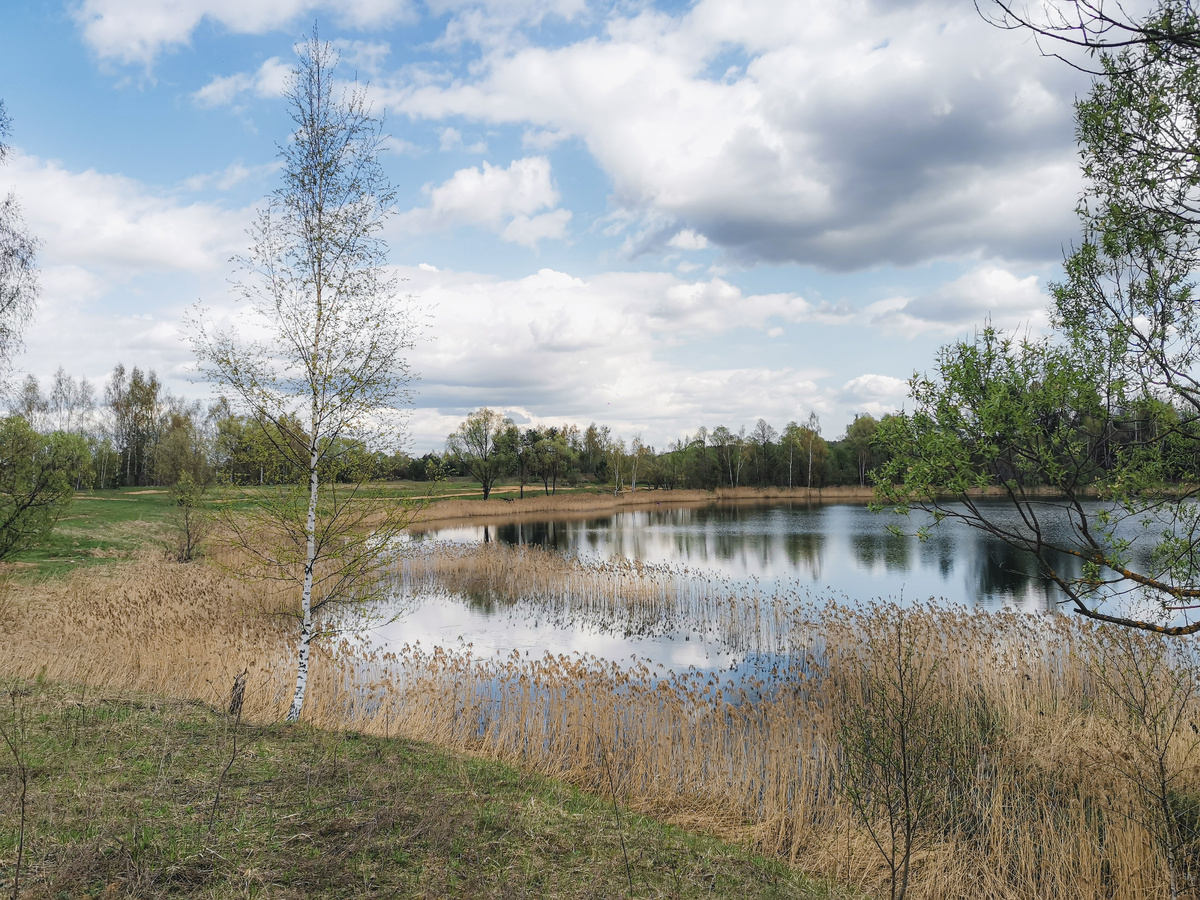 Долгинский карьер