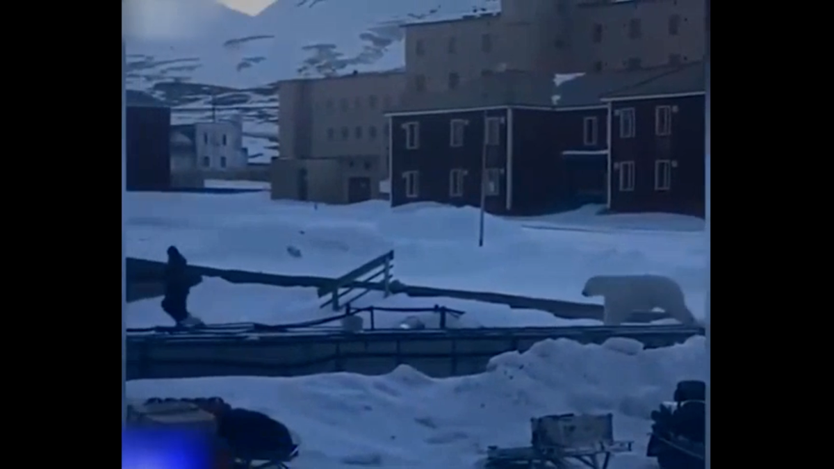 Роковая встреча. Стоп кадр из видео в публикации