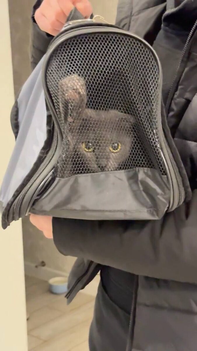 Бусинка. Фото из архива автора