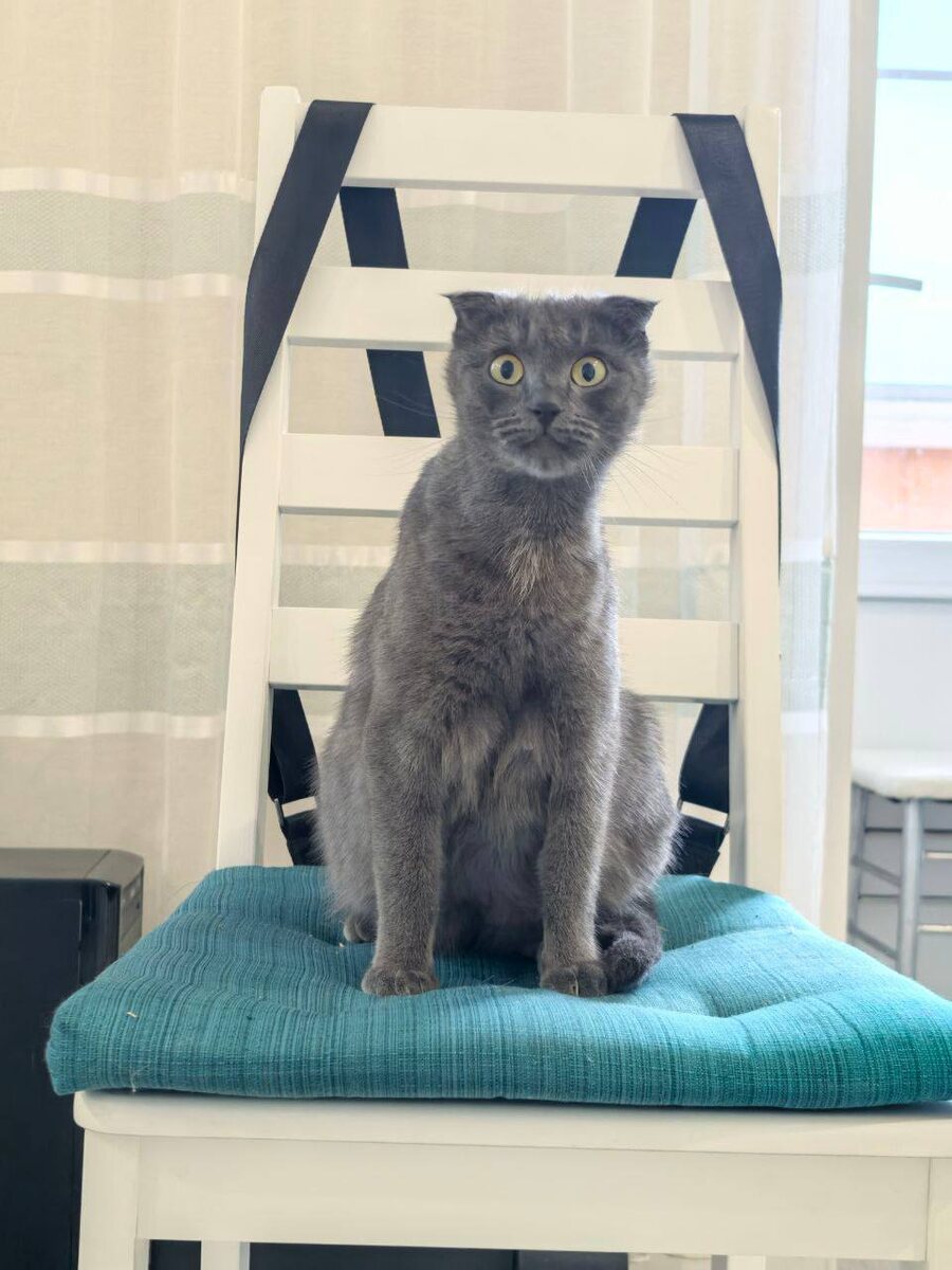 А где же мне котиться?! Фото из архива автора