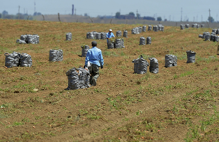    Дмитрий Рогулин/ТАСС