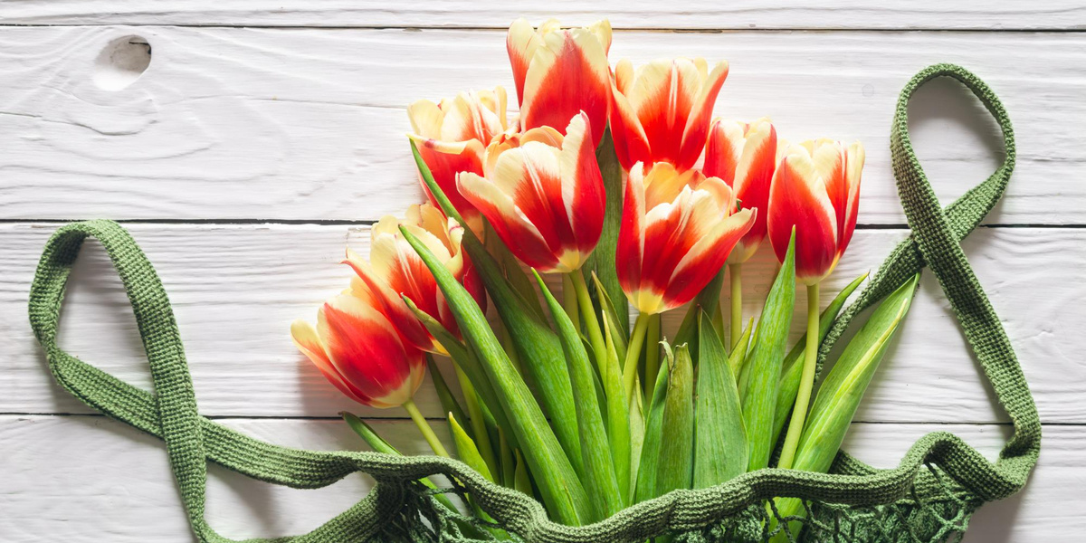 Фото: freepik.com