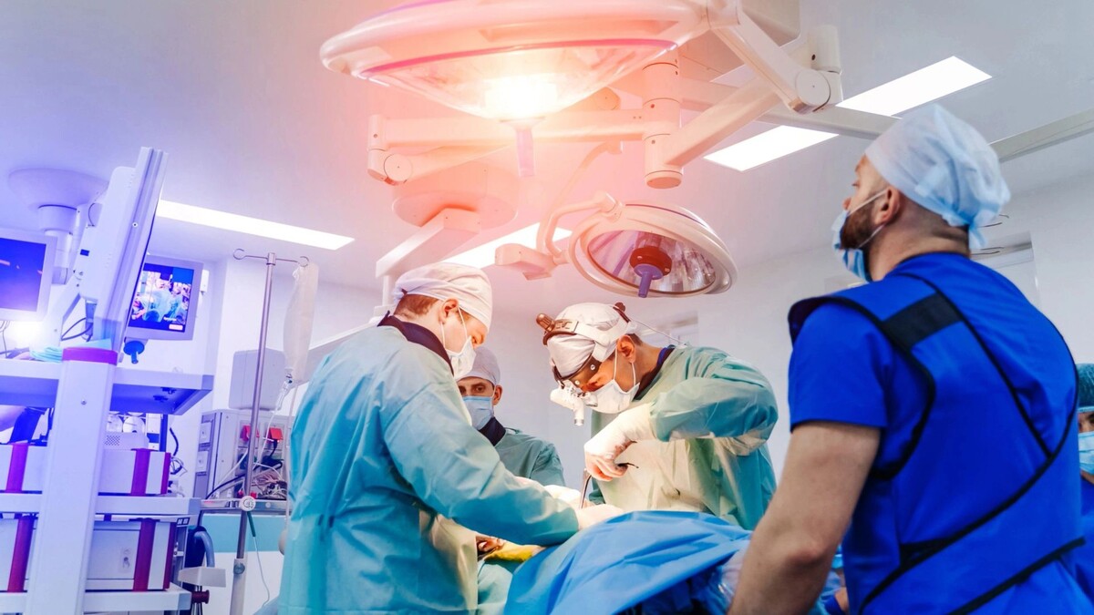    Фото: Terelyuk/Shutterstock/Fotodom