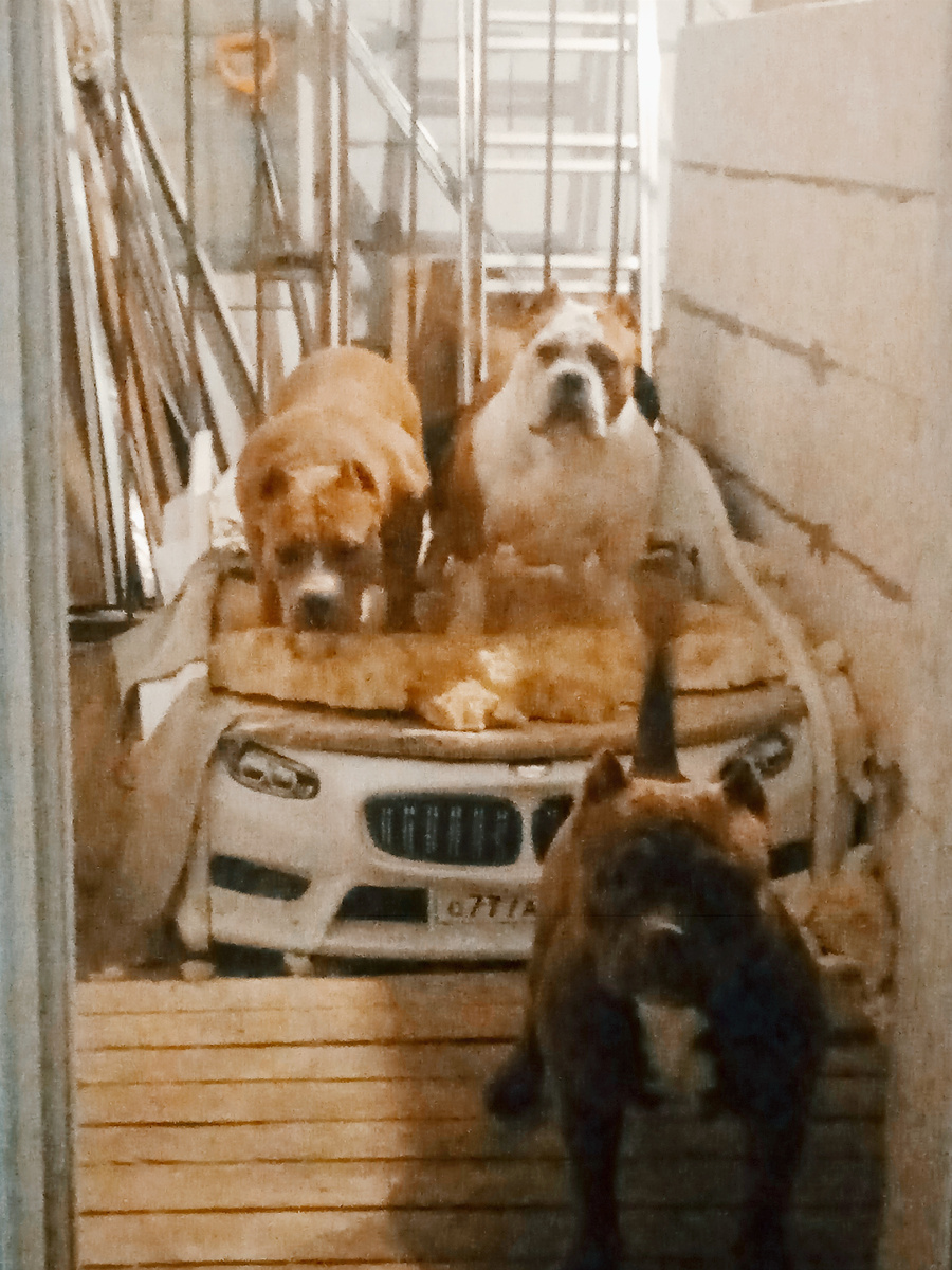 Бандитки😁