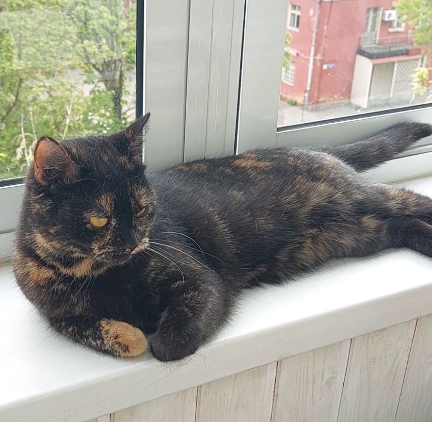 Красота неземная)