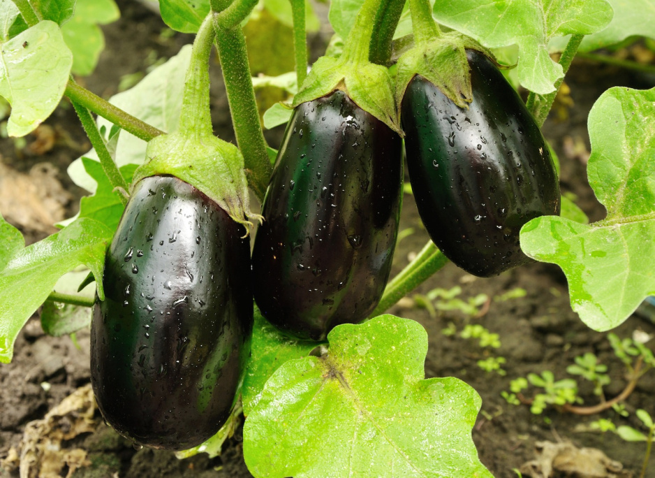 Фото из личного архива