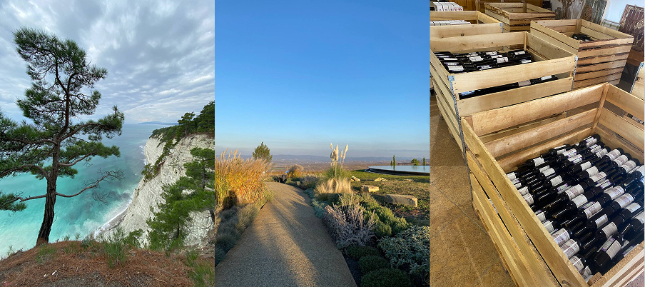 Пригород Геленджика, винодельня Гай-Кодзор и винишко